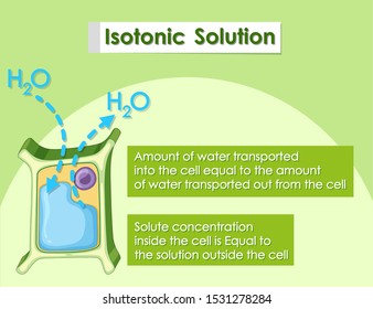 Isotonic solution in plant cell illustration