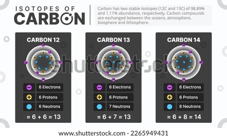 Isotopes of Carbon-Types and Characteristics Vector Illustration