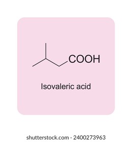 Isovaleric acid skeletal structure diagram.Hemiterpenoid molecule scientific illustration.