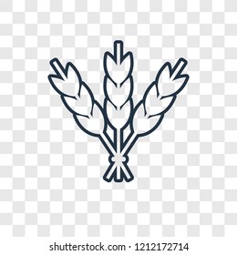 Israel Barley concept vector linear icon isolated on transparent background, Israel Barley concept transparency concept in outline style