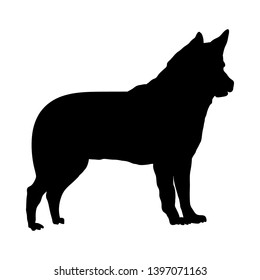 Israel Canaan Dog Silhouette. Smooth Vector Illustration.