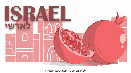 Israel easter pomegranate flat illustration 