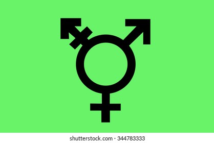 Israeli transgender pride flag in vector format.
