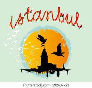 istanbul city and birds vector art