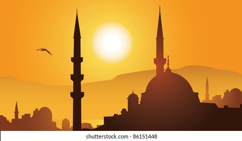 Istanbul city and mosque in sunset vector image