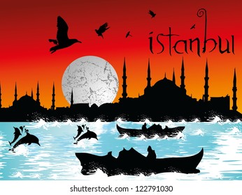 istanbul city vector art