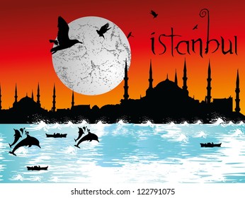 istanbul city vector art