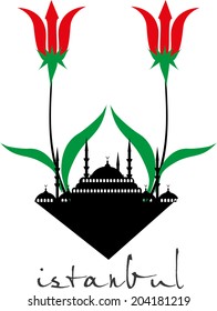 istanbul city vector art