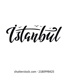 Estambul. Grabado a mano. Logo vector de Estambul en color negro con gaviotas sobre fondo blanco.  productos de recuerdo, emblema de banner, blog de viajes social media, folleto, volante. Ilustración digital.