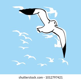 istanbul seagull graphic design vector art