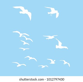 istanbul seagull graphic design vector art