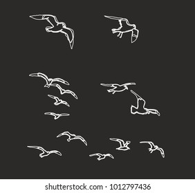istanbul seagull graphic design vector art