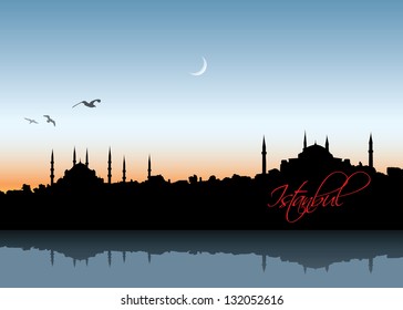 Istanbul skyline - vector illustration