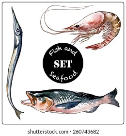 Istanbul travel notes - fish and seafood samples in a street fish market. Set of traced watercolor sketches with a line drawing in a separate layer above. EPS10 vector illustration.