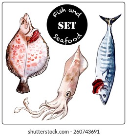 Istanbul travel notes - fish and seafood samples in a street fish market. Set of traced watercolor sketches with a line drawing in a separate layer above. EPS10 vector illustration.