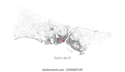 Istanbul Turkey,detail Streets Roads Map with location pin, illustration vector element image 