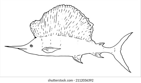 Istiophorus platypterus Black isolated contour on white. sketch of a marine sailfish in retro style side view. Vector isolated art illustration.