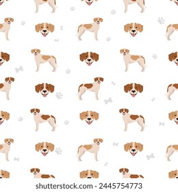 Istrian Short-haired hound seamless pattern. Different poses, coat colors set.  Vector illustration