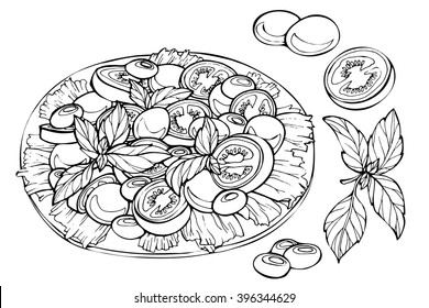 Ensalada Caprese italiana con tomates de cerezo, bolas de mozzarella de bebé, aceitunas y hojas de albahaca. Dibujo a mano de ensalada fresca. Comida orgánica. Ilustración del vector sobre fondo blanco