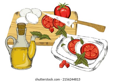 Italian caprese salad ingredients with ripe tomatoes and mozzarella cheese with fresh basil leaves, sketch vector illustration isolated on white background. Italian cuisine food.