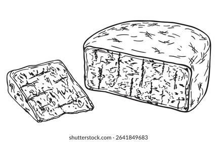Italian cheese Gorgonzola. Cheese delicious blue mold, soft dairy product Farm product. For menu, logo, label or food packaging. Vector hand-drawn sketch illustration isolated on white background.