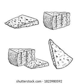 Italian cheese Gorgonzola set. Hand drawn sketch style drawings. Traditional Italian blue cheese collection. Vector illustrations isolated on white background.