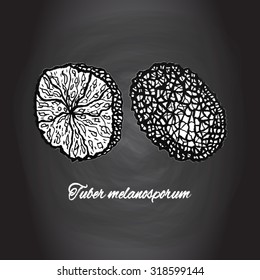 Italian cooking ingredients, French cuisine, Black truffle mushroom, Black and white kitchen decor, rustic background, Fungus, autumn forest, nature theme hand drawn sketch on blackboard background