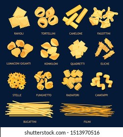 Italian cuisine pasta types. Vector ravioli and tortellini, canelone, fagottini, lumaconi giganti and kinkiloni. Quadretti, eliche, stelle and funchetto, radiatori and cavatappi, bucattini and filini