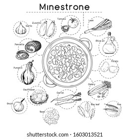 Italian cuisine soup recipe. Minestrone. Plate with soup and different ingredients isolated on a white background. Vector illustration