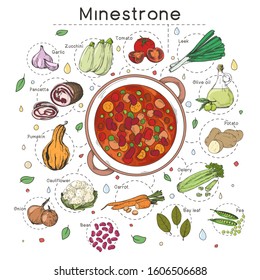 Italian cuisine soup recipe. Minestrone. Plate with soup and different ingredients isolated on a white background. Vector illustration