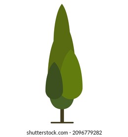 italian cypress tree flat clipart vector illustration