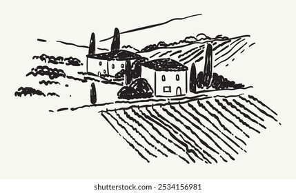 Italian, france or spain vineyard with grape field. Background for wine label design. Vector tuscany landscape with house and wineyard in vintage simple line style. Chalk or charcoal field view.