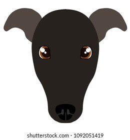 Italian greyhound avatar