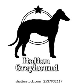 Italian Greyhound dog silhouette,  dog, dog breeds, logo, vector, silhouette, logo design, animal, illustration, icon, sign, design, black,  symbol, pet