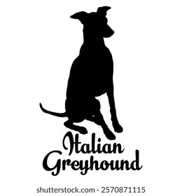 Italian Greyhound dog silhouette, dog breeds, logo, vector, silhouette,  animal, illustration, icon, sign, design, black, symbol, pet, love
