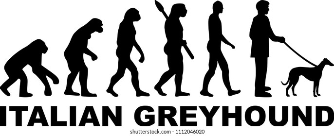 Italian Greyhound evolution with word in black 