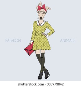 Italian Greyhound girl hipster, fashion animal  illustration