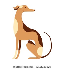 Ilustración de Greyhound italiano en estilo de caricatura. La raza italiana de la vista pequeña ronca. Icono de cachorro levrette aislado en fondo blanco.