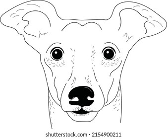 Italian Greyhound Outline Art,Italian Greyhound Dog, Pet Portrait,Line Art, Dog Tattoo, Line Drawing, Dog Art, Minimalist,Dog portraits,Painter Dog, Paint Your Pet, Sketch Art