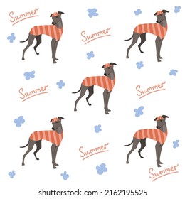 Italian greyhound in trendy summer clothes. Dog in an orange suit with a cap. Clothes for animals. Graceful breed of dog greyhound. Dog breed vector illustration. Summer seamle