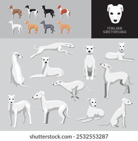 Italian Greyhound White Dog Coat Cartoon Vector Illustration Color Variation Set