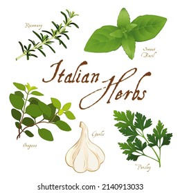 Italian Herbs For Regional Cuisine, Rosemary, Garlic, Oregano, Sweet Basil And Flat Leaf Parsley, Isolated On White. 