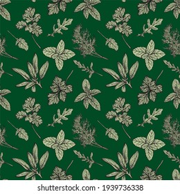 Italian herbs seamless pattern. Provencal condiments and herbs pattern. Mediterranean cuisine. Hand-drawn vector illustration
