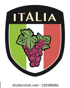 italian label flag with grapes, vector illustration