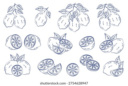 Italian lemons set in hand drawn whimsical style. La Dolce Vita. Amalfi coast. Mediterranean summer.