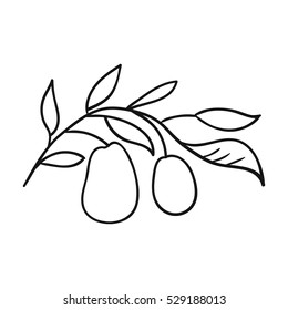 Italian olives from Italy icon in outline style isolated on white background. Italy country symbol stock vector illustration.