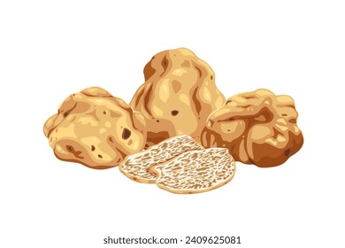 Italian original white truffles on a white background.Fresh sliced truffle. Delicacy exclusive truffle mushroom. on white background, vector illustration