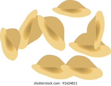 Italian pasta