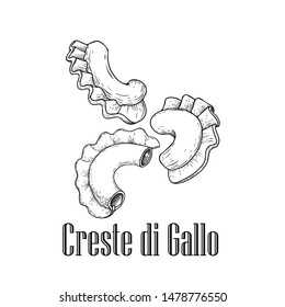 Italian pasta Creste di Gallo. Hand drawn sketch style illustration of traditional italian food. Best for menu designs and packaging. Vector drawing isolated on white background.