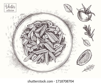 Italian pasta, lemon slice, Pasta with Tomatoes, tomato, rosemary. Vector Hand Drawn. Sketch Botanical Illustration. Collection of vegetables. Eco healthy food.